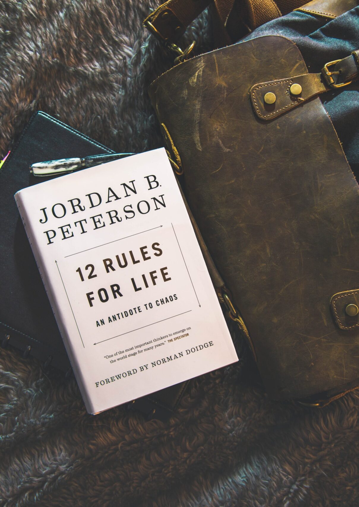 You are currently viewing 12 Κανόνες για τη ζωή: Το βιβλίο φαινόμενο!